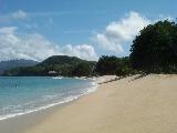 Der wahrscheinlich schoenste Strand Grenadas.